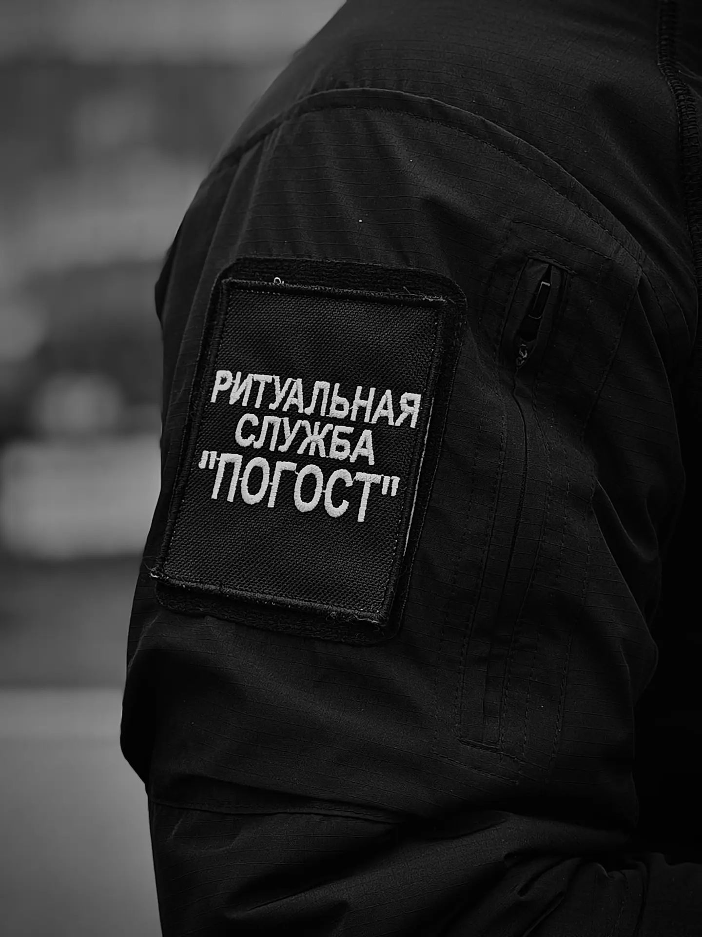 Шеврон